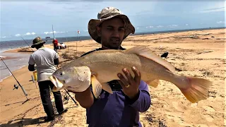 Beach fishing at Braamspunt - Suriname