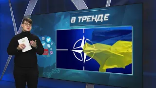 Украина управляет США, поэтому Байден поддержал ускоренное вступление Украины в НАТО | В ТРЕНДЕ