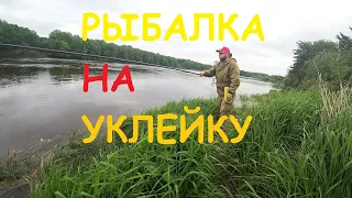 Рыбалка на уклейку с прикормкой