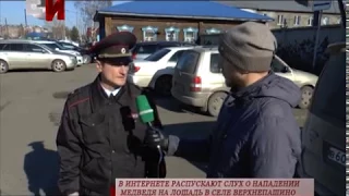 В интернете распускают слух о нападении медведя на лошадь в селе Верхнепашино