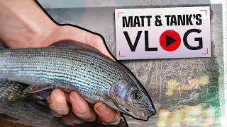 Catching Trout & Grayling on a Stick Float | Matt and Tank VLOG #001