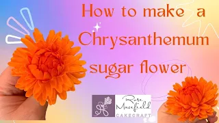 Sugarcraft Chrysanthemum flower tutorial - speedy version