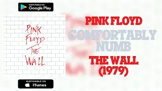 Pink Floyd - Comfortably Numb | MEGA Download (320 kbps Audio HQ)