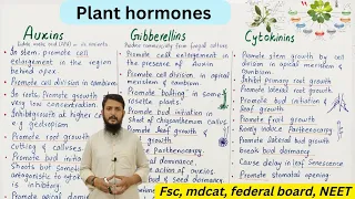 plant hormones | auxin gibberellin and cytokinin | class 12