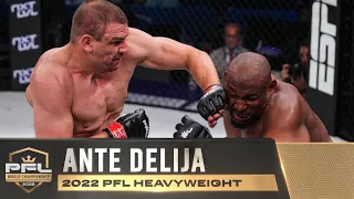 Ante Delija's Resiliency Ensures Another Shot at the Heavyweight World Title | 2022 PFL Championship