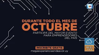 "Mega experiencia Endeavor"