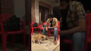 Varun giving biscuits to dog😊 | Anbe vaa serial | Virat | SJS editz