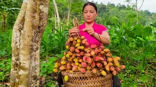 The girl harvested some fruit and took it to the market to sell, daily life - Lý Thu Mai