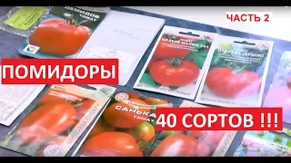 НИЗКОРОСЛЫЕ УЛЬТРАРАННИЕ ТОМАТЫ. ПОСАДИЛ И ЗАБЫЛ. ОБЗОР МОИ 40 СОРТОВ ПОМИДОРОВ  ЧАСТЬ 2.