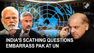 'Home to 150 UN designated terrorists...' India challenges Pak to refute allegations