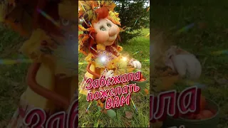 С добрым УТРОМ!