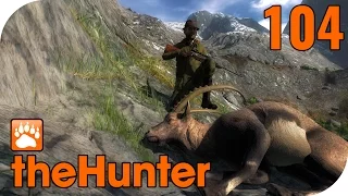 THE HUNTER #104 - Steinböcke und KLETTERUNFÄLLE! 🐗 || Let's Play The Hunter || German