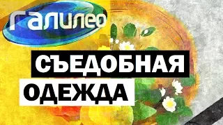 Галилео. Съедобная одежда 🍴 Edible clothes