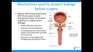 Pelvic Floor Rehabilitation for Post Prostatectomy Incontinence (2/3) with Bill Landry