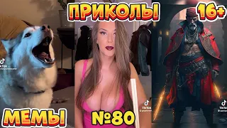 17 МИНУТ СМЕХА ДО СЛЁЗ | ЛУЧШИЕ ПРИКОЛЫ | ВЗРОСЛЫЙ ЮМОР l TikTok УГАР l #80