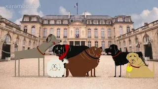 Wieso jeder französische Präsident einen Hund hat | Karambolage | ARTE