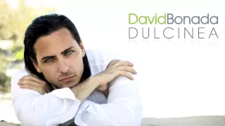 David Bonada - Dulcinea (Por fin triunfo el Amor)