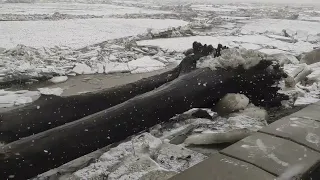 высокий уровень воды в Томске 15.04.24