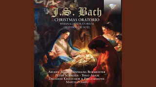 Christmas Oratorio, BWV 248, Pt. 3: IX. Recitative. Ja, ja, mein Herz soll es bewahren (Alto)
