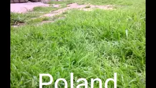 My Life In Poland 2012-2015