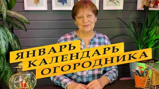 Лунный календарь садовода-огородника на январь 2024 года.