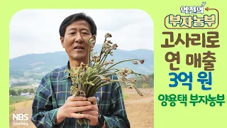 [역전의부자농부 249회] 고사리로 연 매출 3억 원! 전북 남원 양용택 부자농부