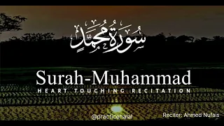 Surah Muhammad سورة محمد |  Calm & Relaxing Quran  | Ahmed Nufais| Practice Halal