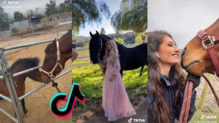 The Best HORSE TikTok Compilation 2022 #19