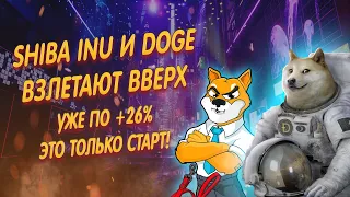 SHIBA INU И DOGECOIN НАЧИНАЮТ НАБИРАТЬ ОБОРОТЫ РОСТА УЖЕ +26%/ КУРС И ПРОГНОЗ ШИБА ИНУ И ДОГИКОИНА/