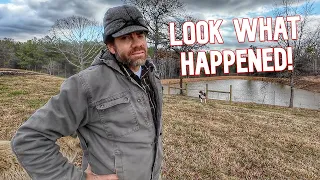 You Won't Believe What Happened To The Pond!
