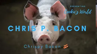 Chris P Bacon news anchor reporter looses control laughs at name of pig #cookiezworld #funny