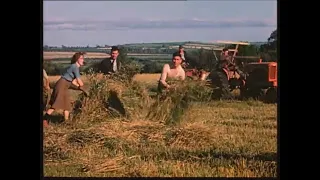The Harvest Emergency of Ireland 1946