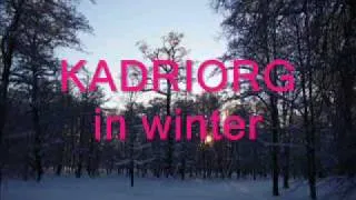 Tallinn Kadriorg winter.wmv