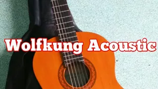 Wolfkung acoustic 🎸 #2ใจกลางเมือง Labanoon cover  by com wolfkung_TH