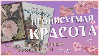 ДОЖДАЛАСЬ!! Распаковка и обзор артбуков Токийский гуль: zakki: re • The Art of Spirited Away