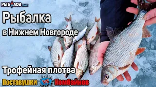 Зимняя ловля крупной плотвы. Зимняя рыбалка на комбайны. Рыбалка на поставушки зимой. Река Волга