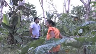 THE PACIFIC WAY STORY - MORDI Tonga. Innovative Rural Development