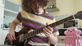 The Doors - The Changeling (Bass Cover)