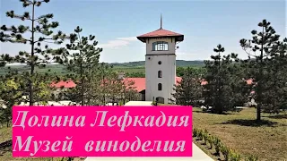 #5 Музей виноделия в Лефкадии, село Молдаванское , Крымский район, Краснодарский край.