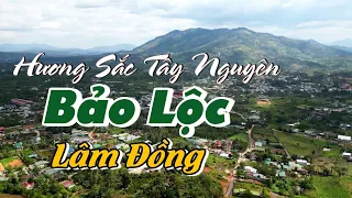 Bảo Lộc Lâm Đồng : Ngọt Ngào Hương Sắc Tây Nguyên của Thành Phố Sương Mù