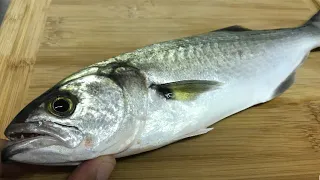 CATCH, CLEAN, & COOK: Nasty Bluefish...?