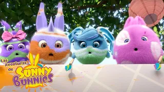 JUGANDO CON COLORES | Las Aventuras de Sunny Bunnies | Dibujos para niños