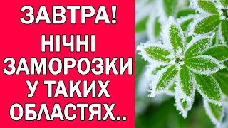 НІЧНІ ЗАМОРОЗКИ ДО -3 ГРАДУСІВ НАКРИЮТЬ УКРАЇНУ