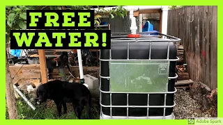 💧 Rainwater Collection System Design - DIY Rainwater Harvesting