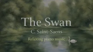 The Swan by Saint-Saens | Piano Classical Music | Relaxing Piano | Music to Sleep | Daily Peace