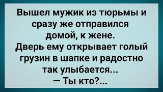 Мужик Вышел из Тюрьмы и Застал Жену с Грузином! Сборник Свежих Анекдотов! Юмор!