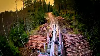 A day in the life of a forestry truck driver