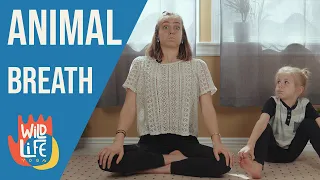 5 ANIMAL Breath Exercises Kids and Family Yoga