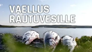 Kalastusvaellus Norjan Rautuvesille 2018