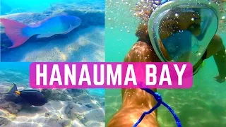 Hanauma Bay Snorkeling in Honolulu Hawaii - Best Snorkel In Oahu Hawaii